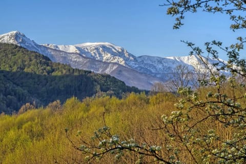 Nearby landmark, Spring, Day, Natural landscape, Winter, Mountain view