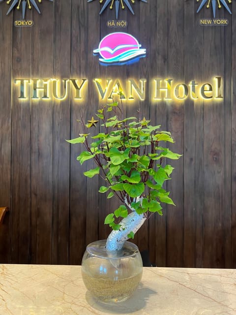 Thuy Van Hotel Hotel in Vung Tau