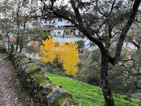 El Zarzo de Nemesio, alberca barbacoa 2 Hab 4 Pers mas 2 Max House in Sierra de Huelva