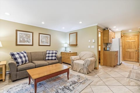 Cozy one bedroom Edgemont A1 condo on the shuttle route & ski back trail Maison in Mendon