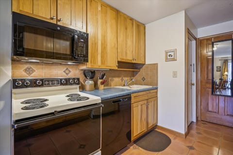 Kitchen or kitchenette, dishwasher, minibar, pet friendly, stove