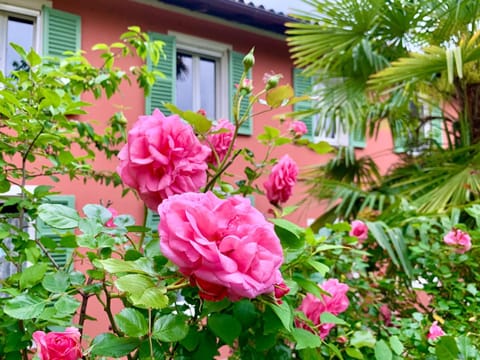 Facade/entrance, Garden