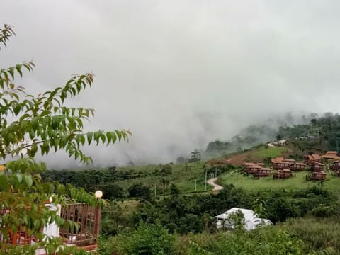 Natural landscape, Hiking