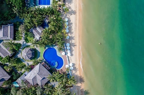 Natural landscape, Bird's eye view, Garden, Beach, Swimming pool