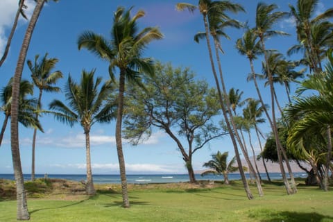 Beach, Sea view