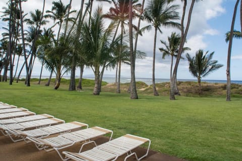 Sea view, sunbed