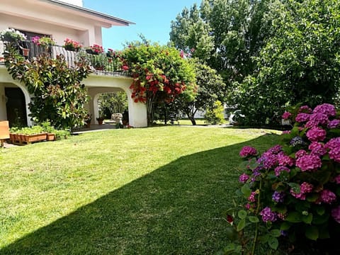 Natural landscape, Garden view