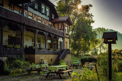 Property building, Natural landscape, Garden, Garden view