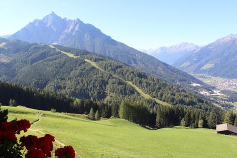 Alpengasthaus Gleinserhof Inn in Tyrol