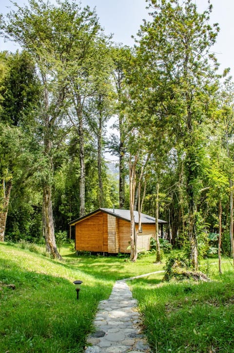 Cabañas Parque Michimahuida Nature lodge in Los Lagos, Chile