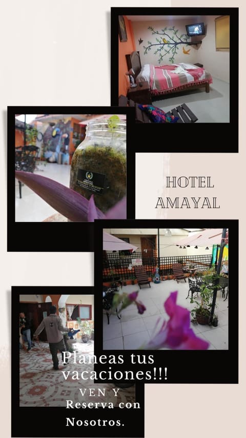 Hotel Amayal Hotel in San Cristobal de Casas