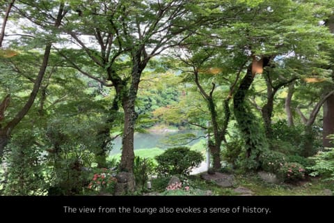 Natural landscape, Garden, Garden view, River view