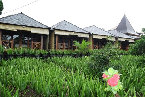 Puri Karang Besakih Campground/ 
RV Resort in Selat