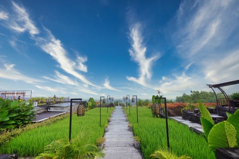 Natural landscape, View (from property/room)