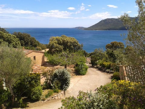 Garden, Sea view