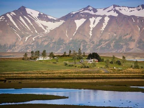 Höfði Cottages Haus in Northeastern Region