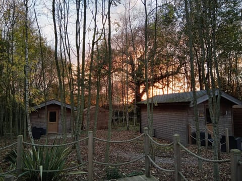 Riddings Wood lodges Terrain de camping /
station de camping-car in Amber Valley