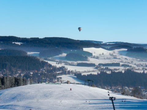 Apartment Mühlenmichelshäusle by Interhome Apartment in Hinterzarten