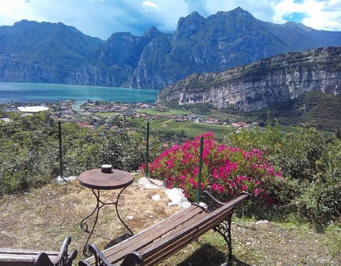 Garden, City view, Garden view, Lake view, Landmark view, Mountain view, River view