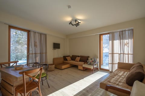 Didveli Valley Bakuriani Apartment in Georgia