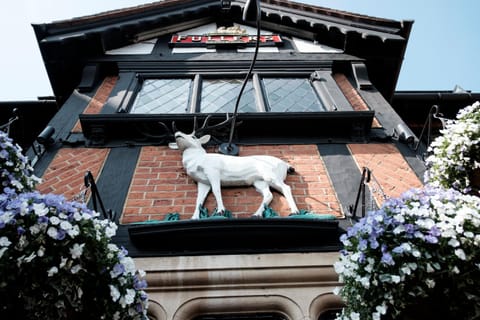 The White Hart Hotel Hôtel in Molesey