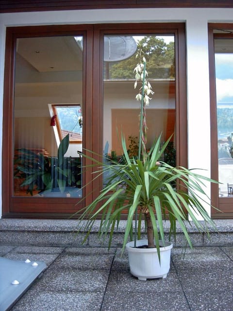 Ferienwohnung Walker Apartment in Carinthia, Austria