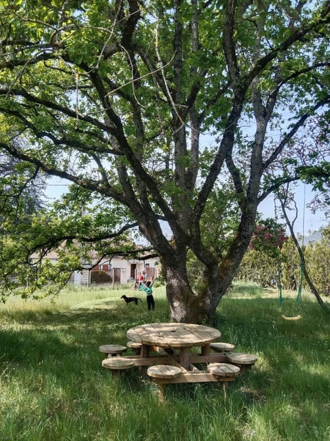 Natural landscape, Garden, Hiking