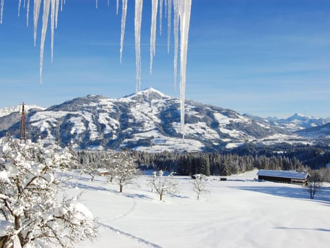 Apartment Entalhof by Interhome Apartment in Salzburgerland