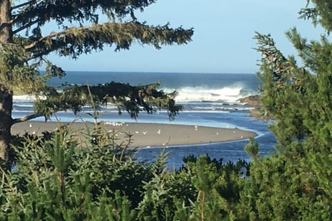 Hidden Luxury Beachfront Estate House in Yachats