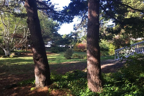 Hidden Luxury Beachfront Estate House in Yachats