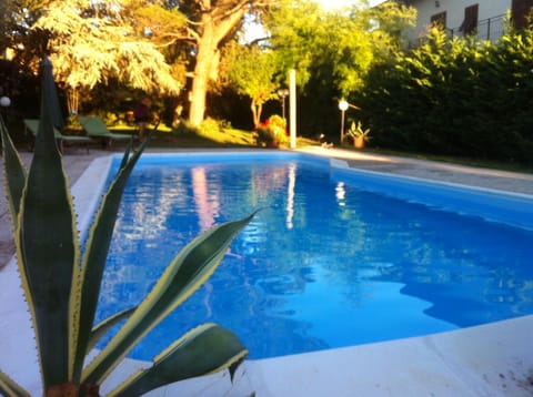 Summer, Garden, Pool view, Swimming pool, Sunset