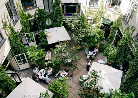 People, Garden, Garden view