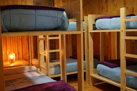 Bed, Photo of the whole room, Bedroom, bunk bed