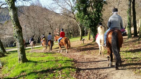 Natural landscape, Horse-riding