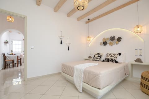 Birikos Hotel & Suites Condo in Agios Prokopios