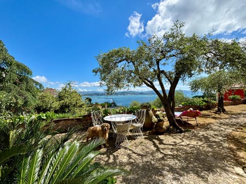 Garden view, Sea view