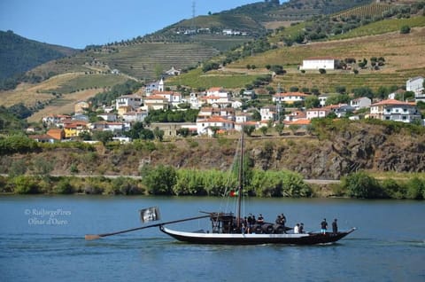 Casa grande Covelinhas House in Vila Real District