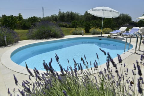 Swimming pool, Location, children, Family