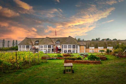 Property building, Natural landscape, Garden