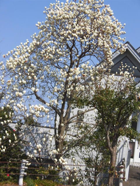 Holiday Home Apple House in Shizuoka Prefecture