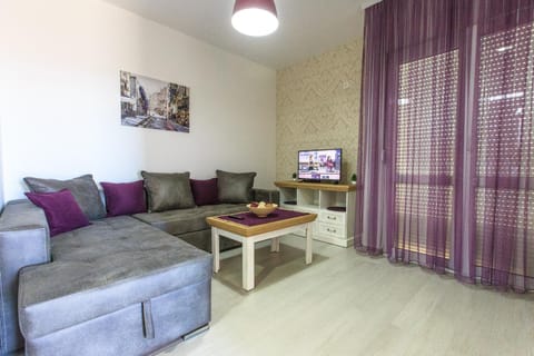 Apartments Aleksić Condo in Montenegro