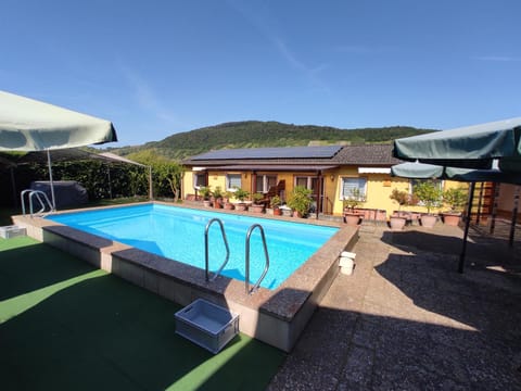 Pool view, Swimming pool