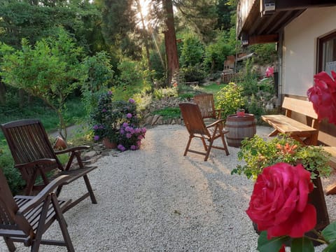 Patio, Garden, Garden, Evening entertainment