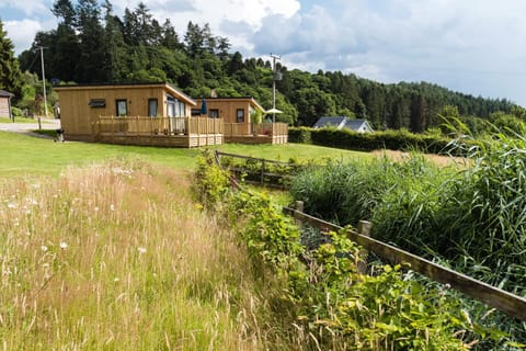 Day, Natural landscape, Garden, Garden view