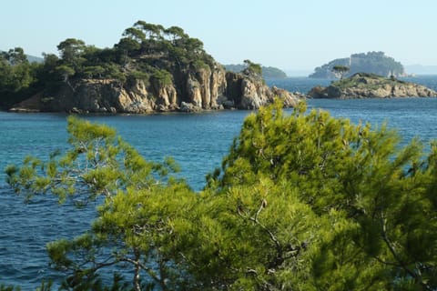 Location Corsica Apartment in Cavalaire-sur-Mer