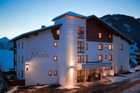 Property building, Winter