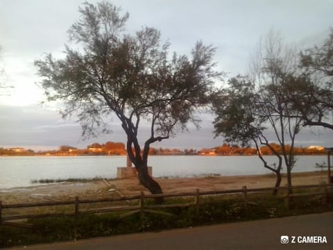 Natural landscape, Lake view