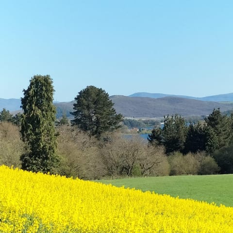 Nearby landmark, Spring, Natural landscape, Lake view, Mountain view