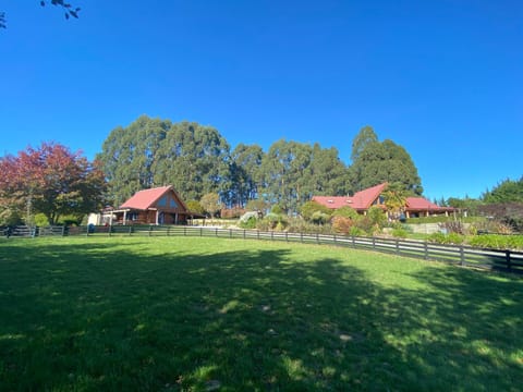 Tree Hut Cottage Vacation rental in Wellington Region