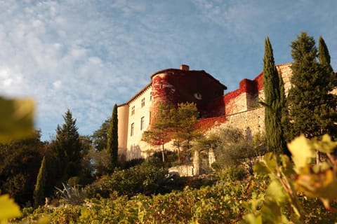 château de Mauriac Alojamiento y desayuno in Gaillac